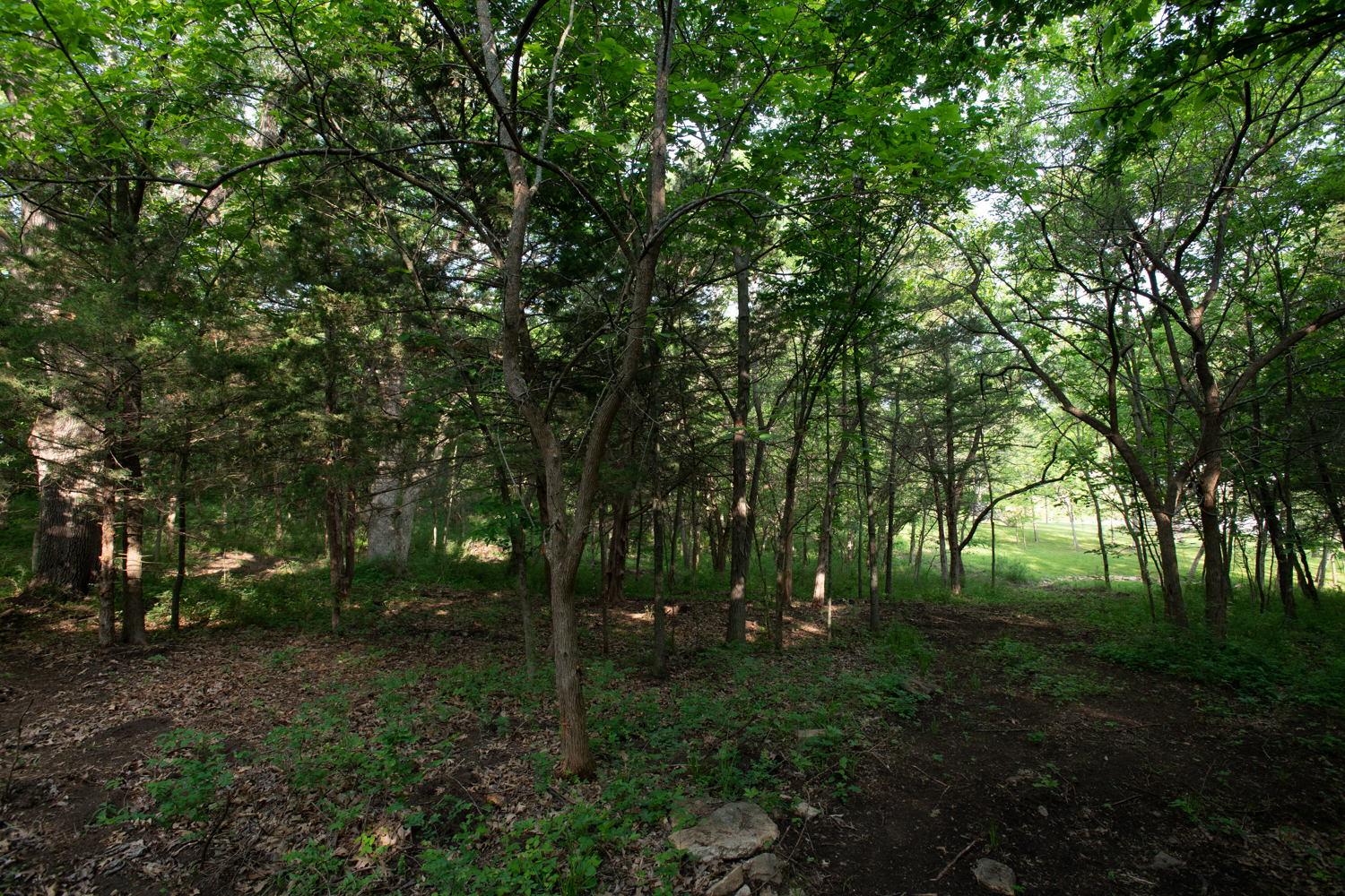 Trails at Hidden Timber Farm horse pasture boarding